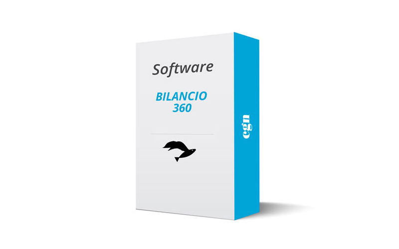 Bilancio 360° Telematico