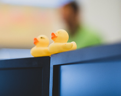 Rubber duck debugging